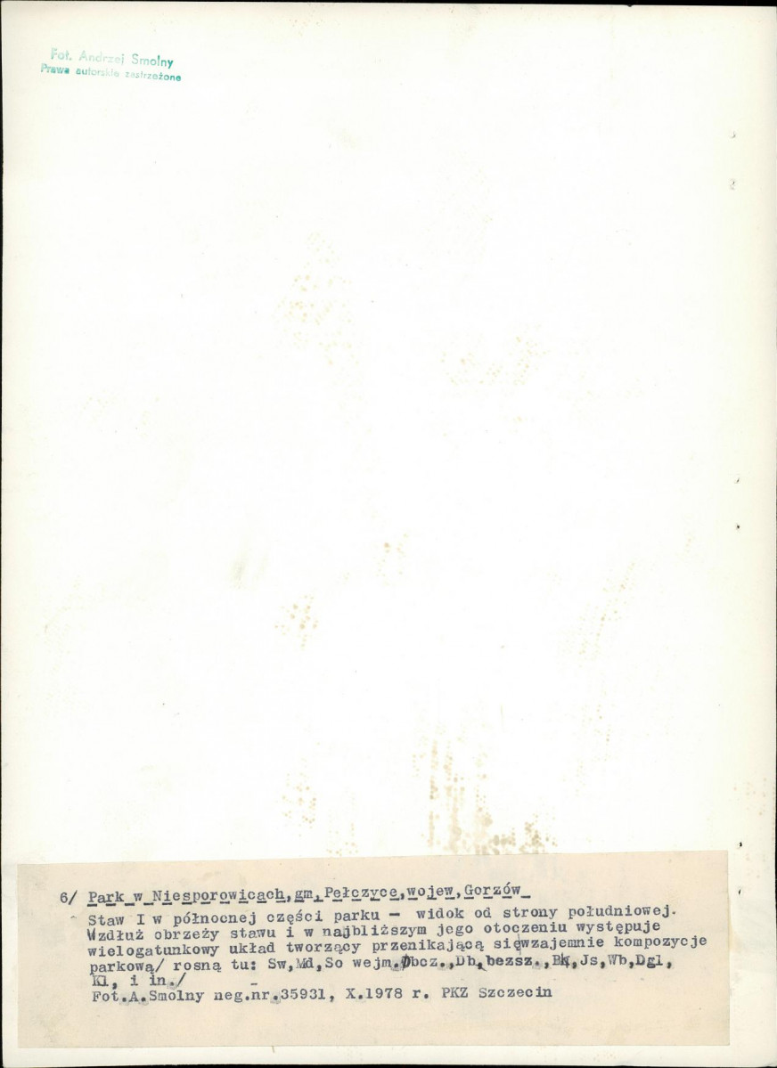 Ewidencja parkowa, skan nr 34