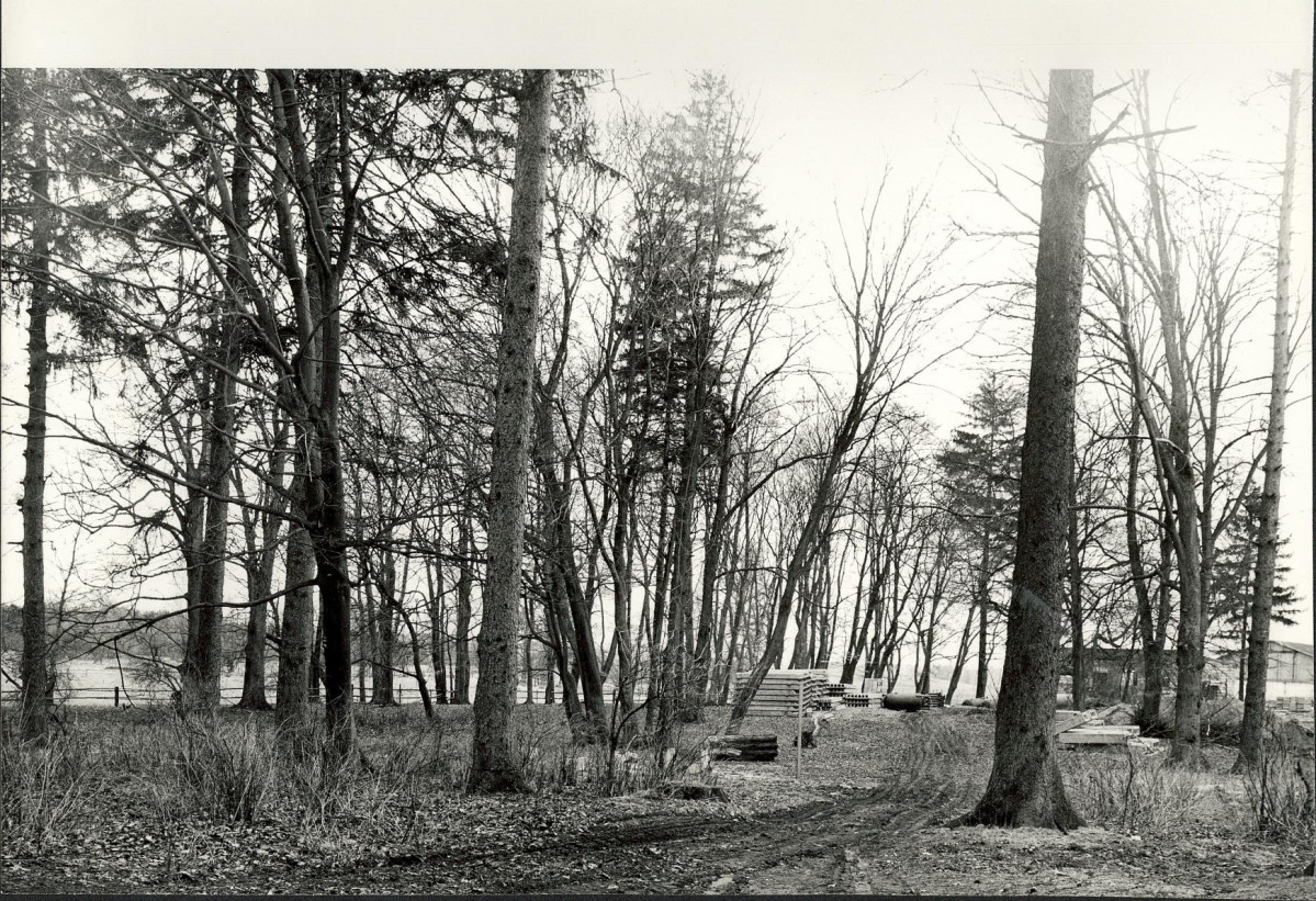 Ewidencja parkowa, skan nr 23