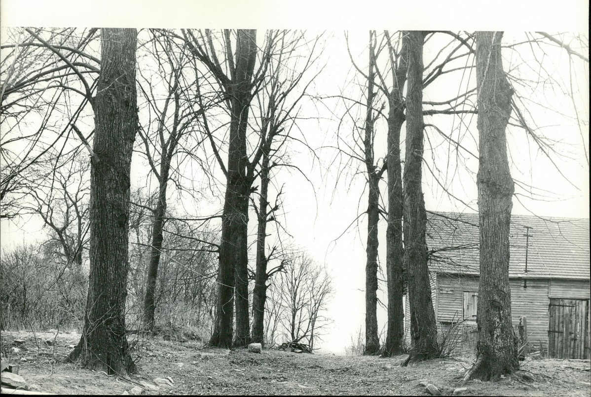 Ewidencja parkowa, skan nr 20