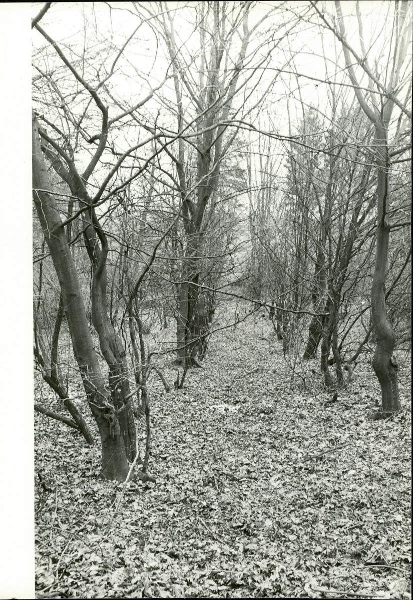 Ewidencja parkowa, skan nr 22