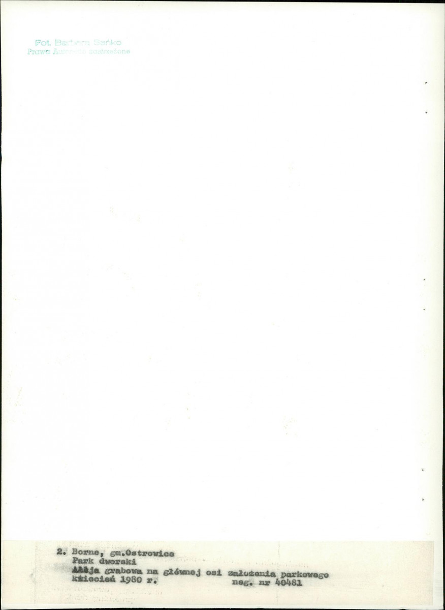 Ewidencja parkowa, skan nr 23