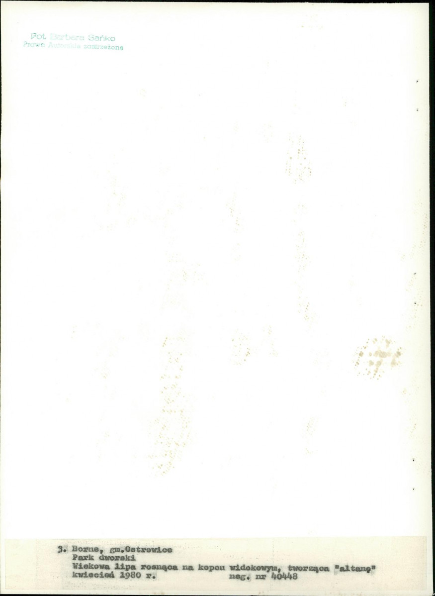 Ewidencja parkowa, skan nr 25
