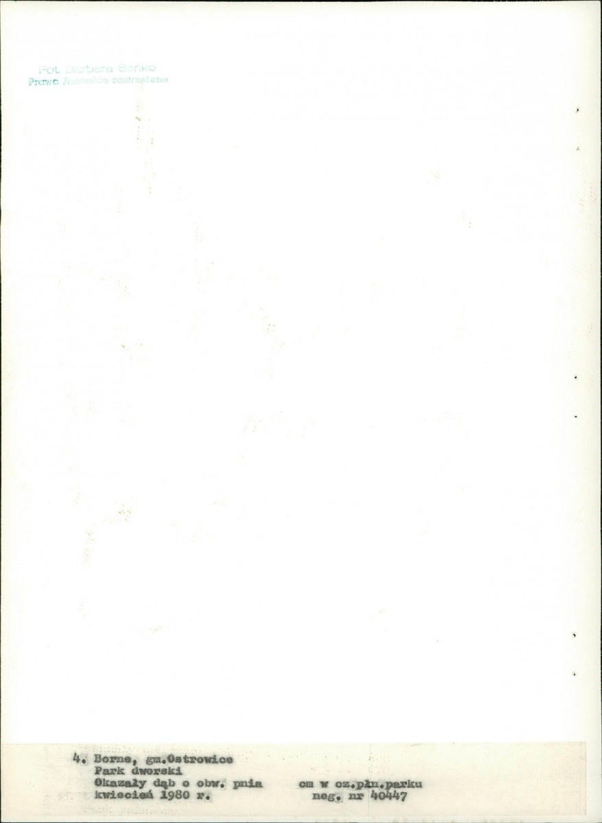 Ewidencja parkowa, skan nr 27