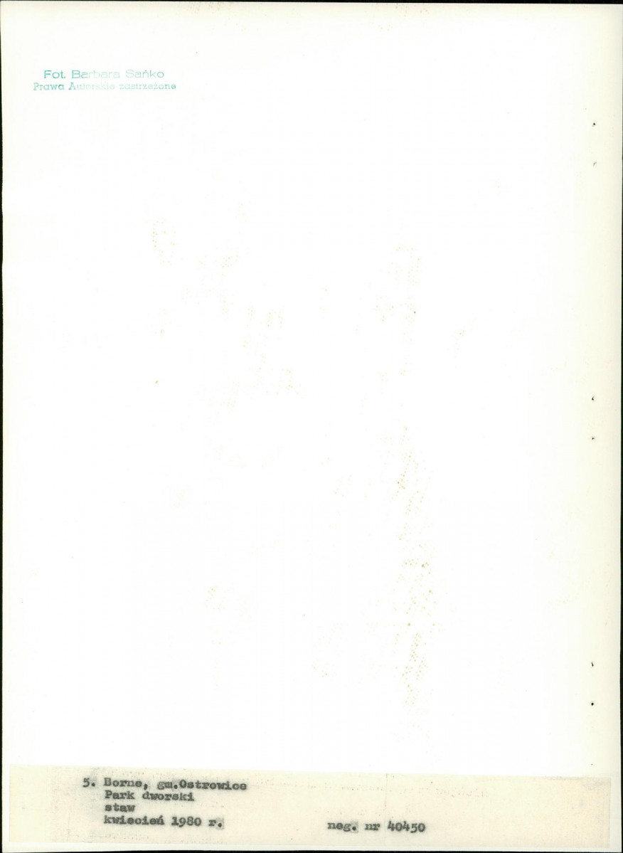 Ewidencja parkowa, skan nr 29