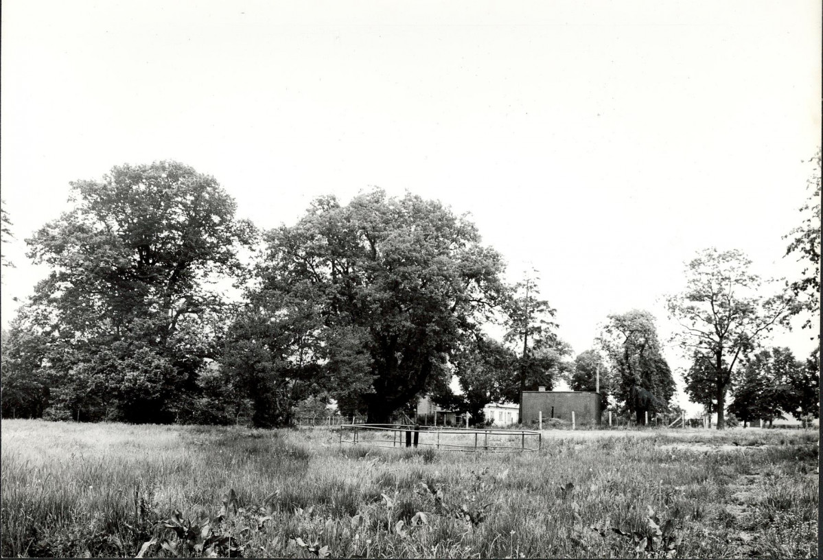 Ewidencja parkowa, skan nr 19