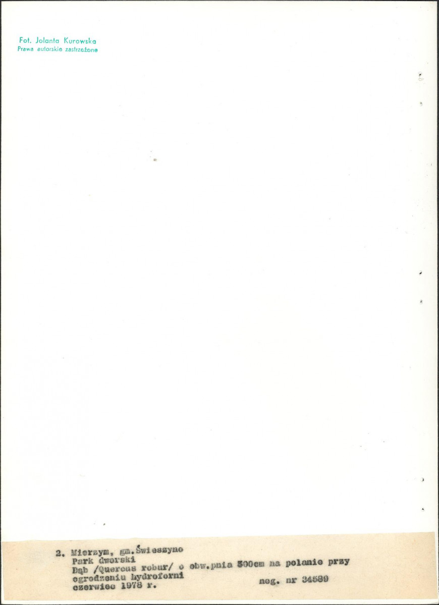Ewidencja parkowa, skan nr 22