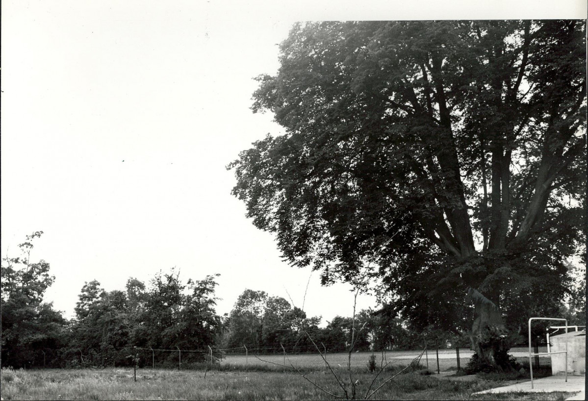 Ewidencja parkowa, skan nr 23