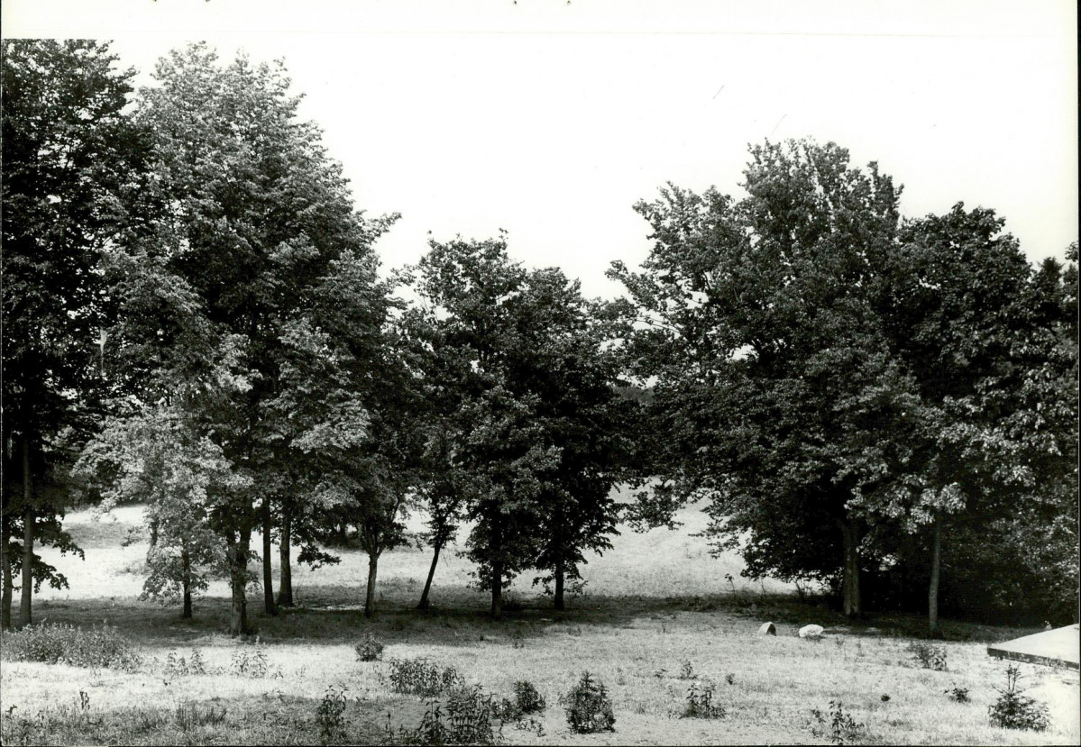 Ewidencja parkowa, skan nr 18