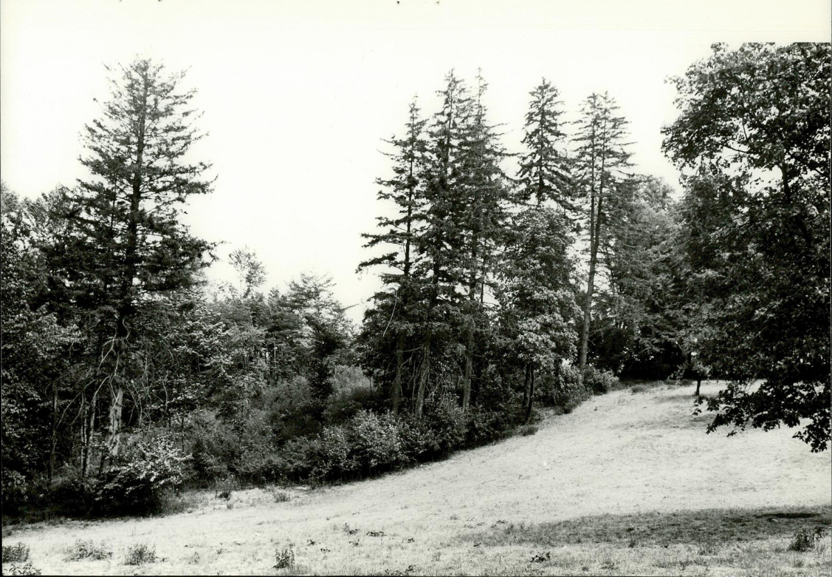 Ewidencja parkowa, skan nr 20