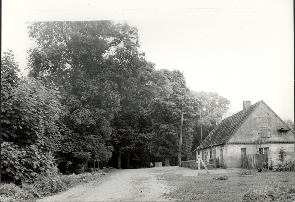 EP - Ewidencja parkowa, skan nr 22