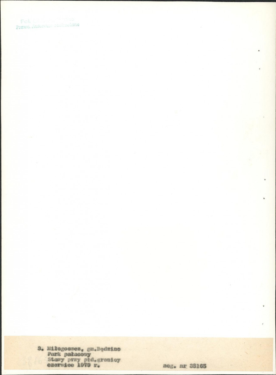 EP - Ewidencja parkowa, skan nr 25