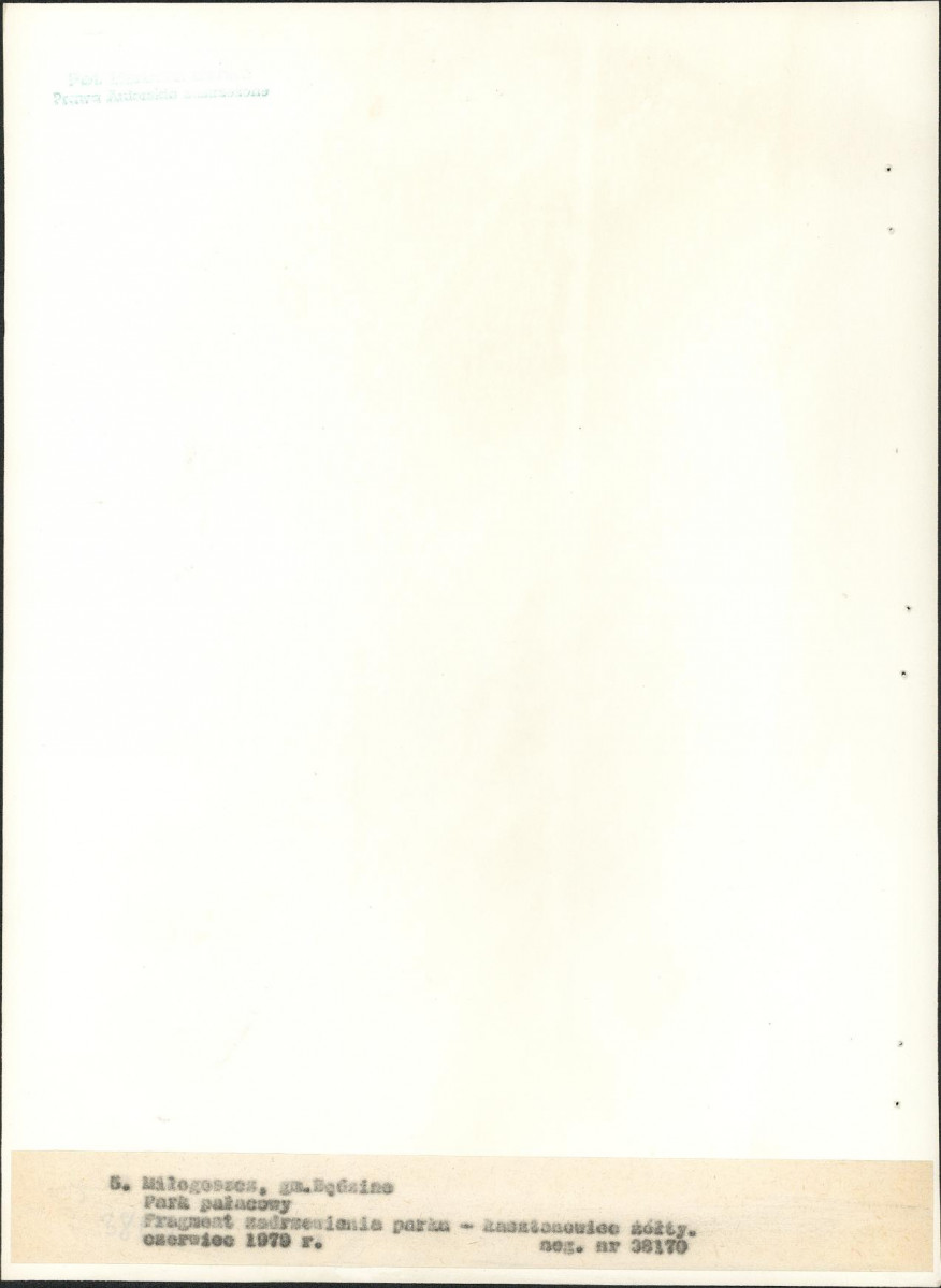 EP - Ewidencja parkowa, skan nr 29