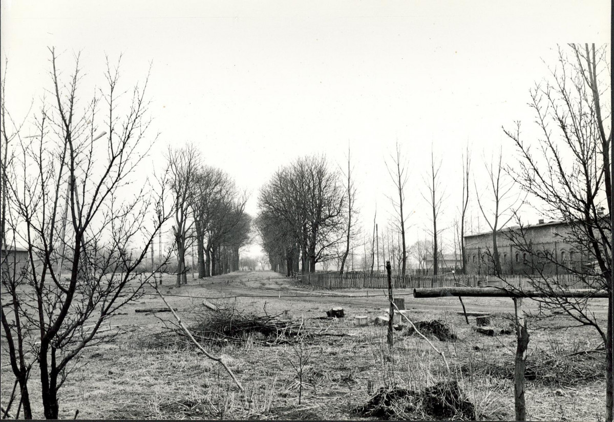 Ewidencja parkowa, skan nr 19