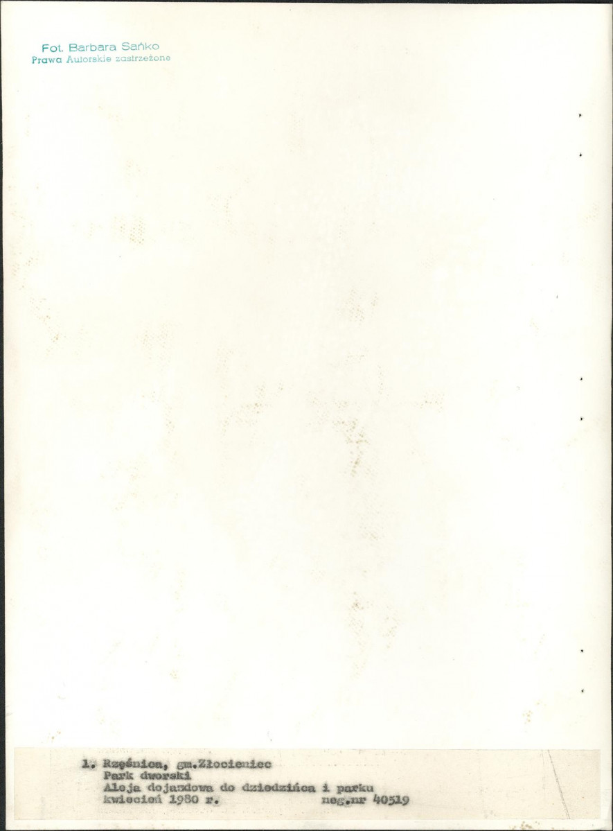 Ewidencja parkowa, skan nr 20