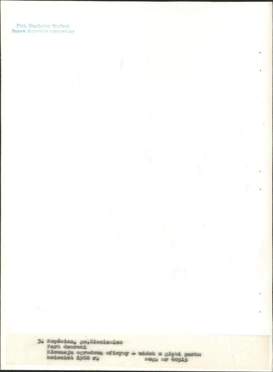 Ewidencja parkowa, skan nr 24