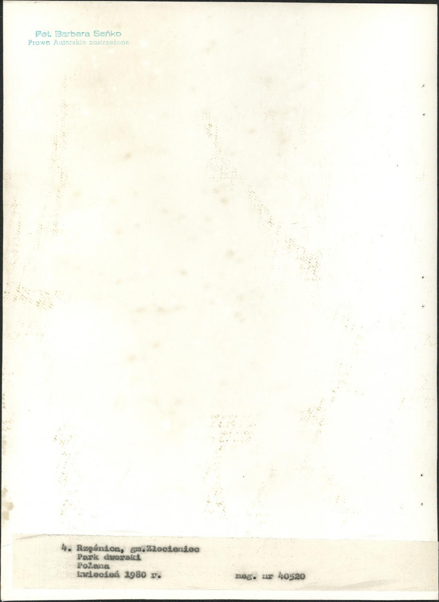 Ewidencja parkowa, skan nr 26