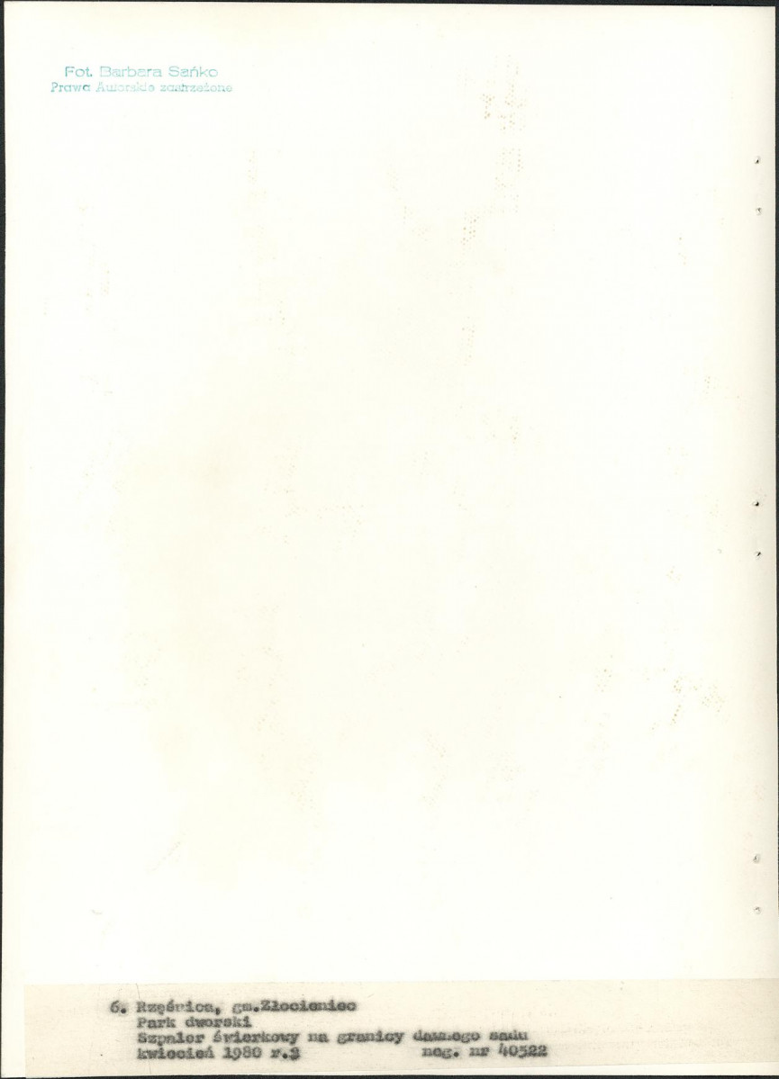 Ewidencja parkowa, skan nr 30