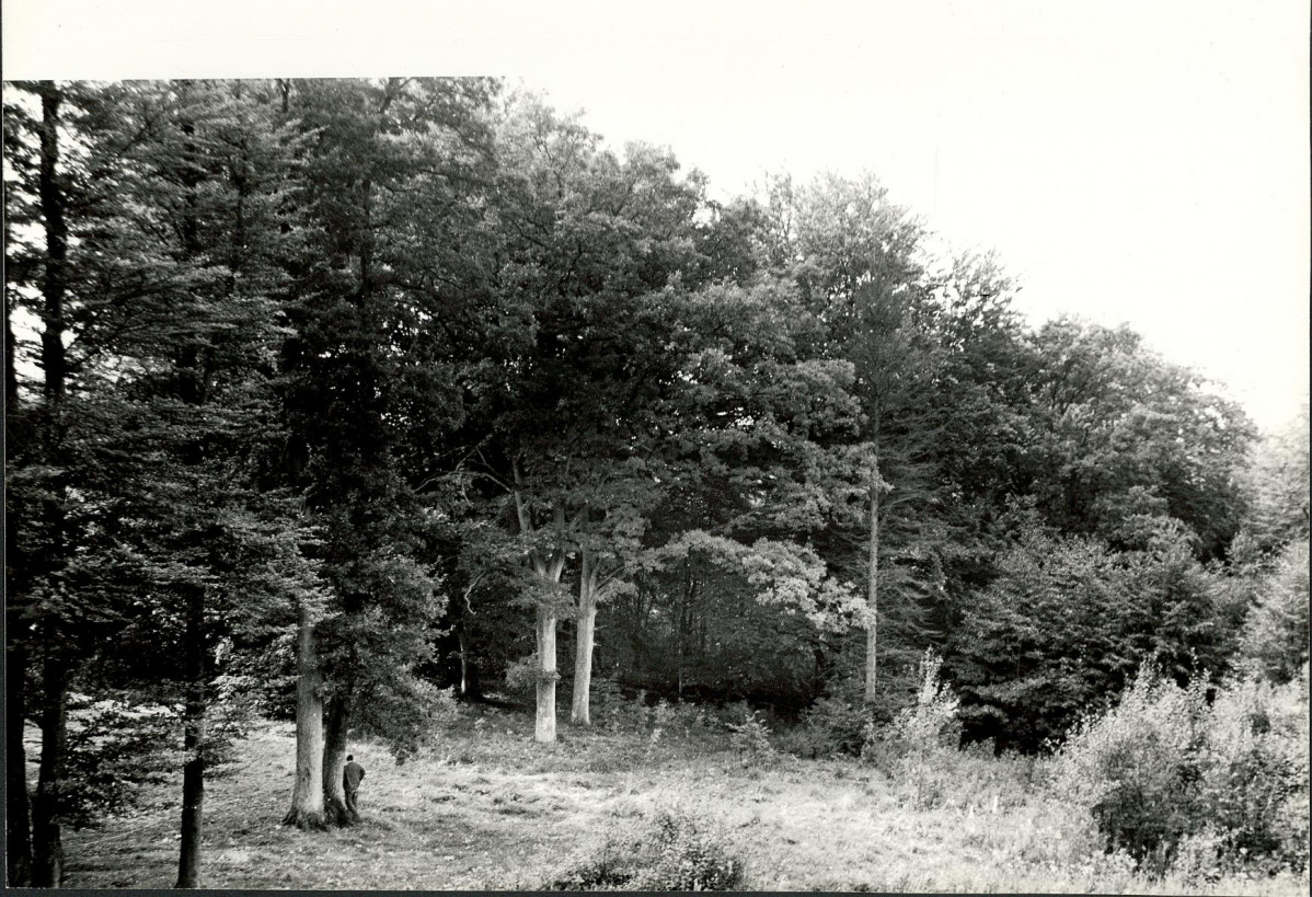 EP - Ewidencja parkowa, skan nr 26