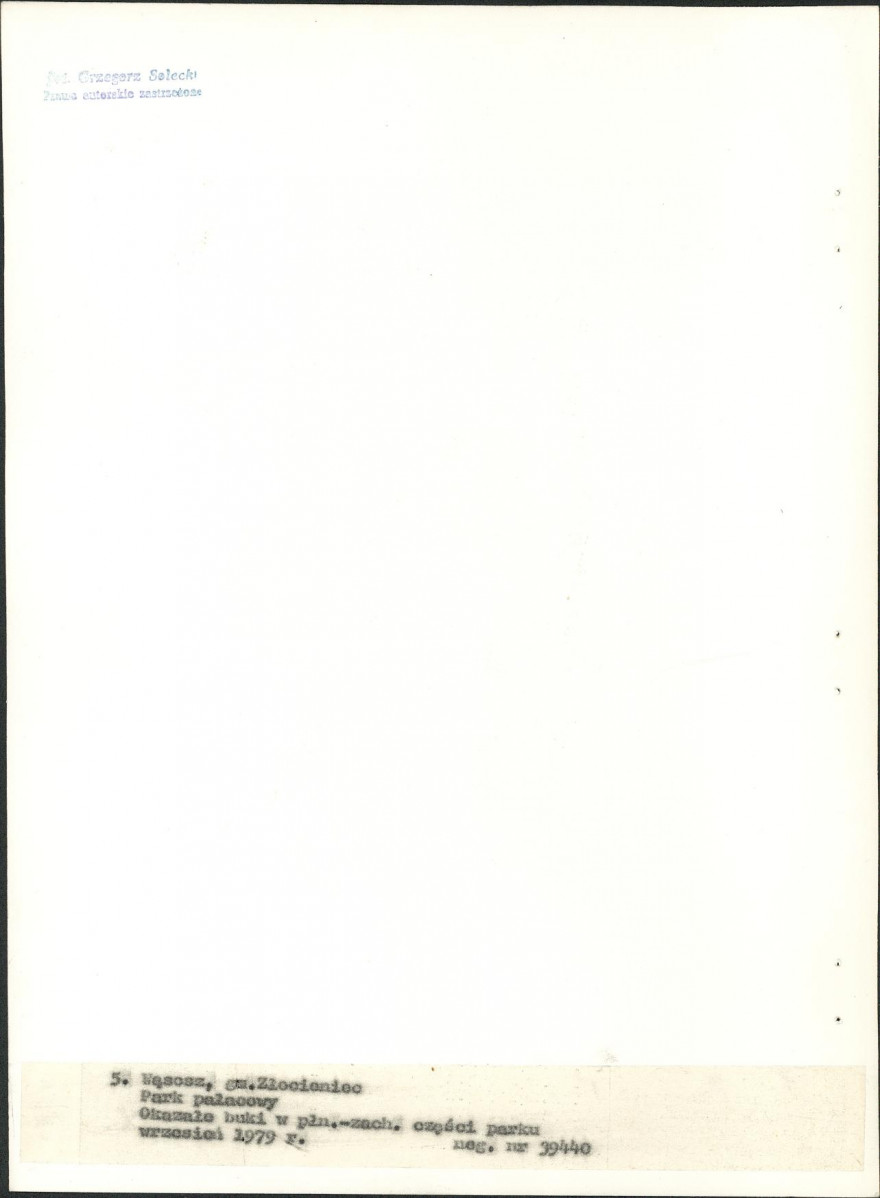 EP - Ewidencja parkowa, skan nr 29