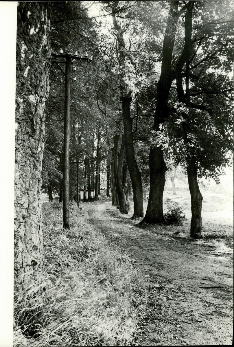 Ewidencja parkowa, skan nr 33