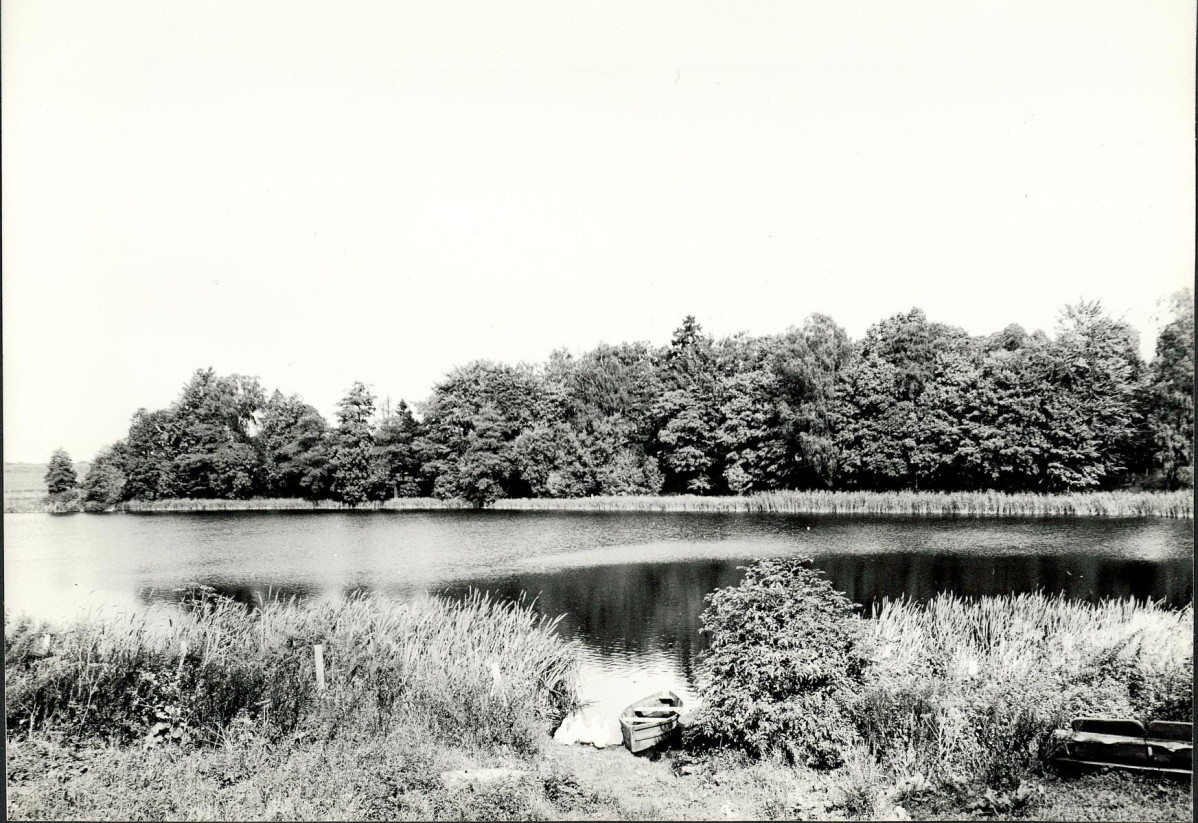 Ewidencja parkowa, skan nr 35