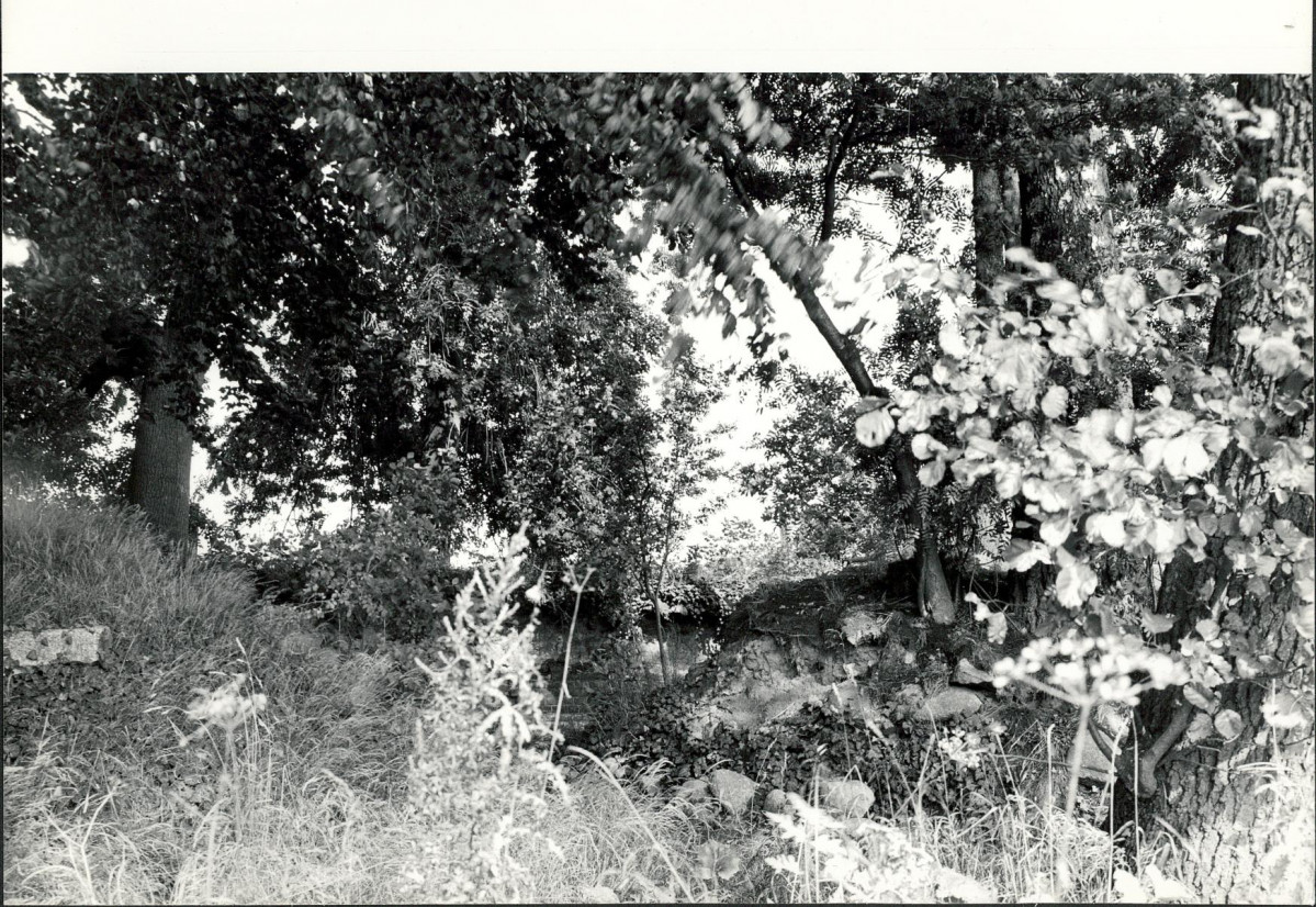 Ewidencja parkowa, skan nr 37