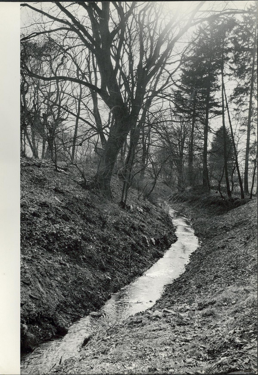 Ewidencja parkowa, skan nr 31