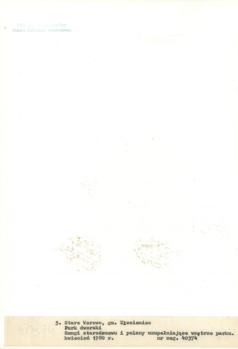 Ewidencja parkowa, skan nr 34