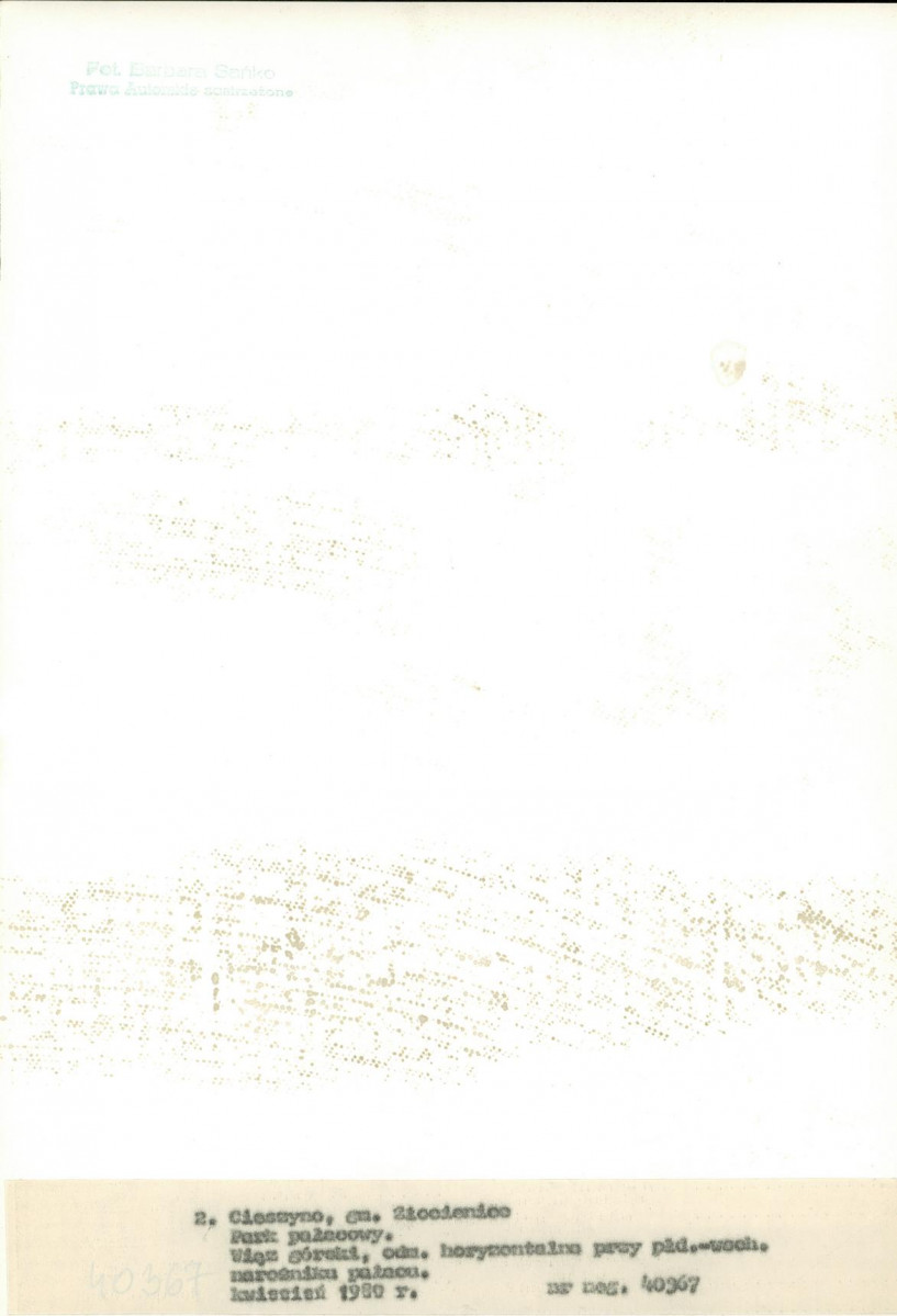 Ewidencja parkowa, skan nr 26