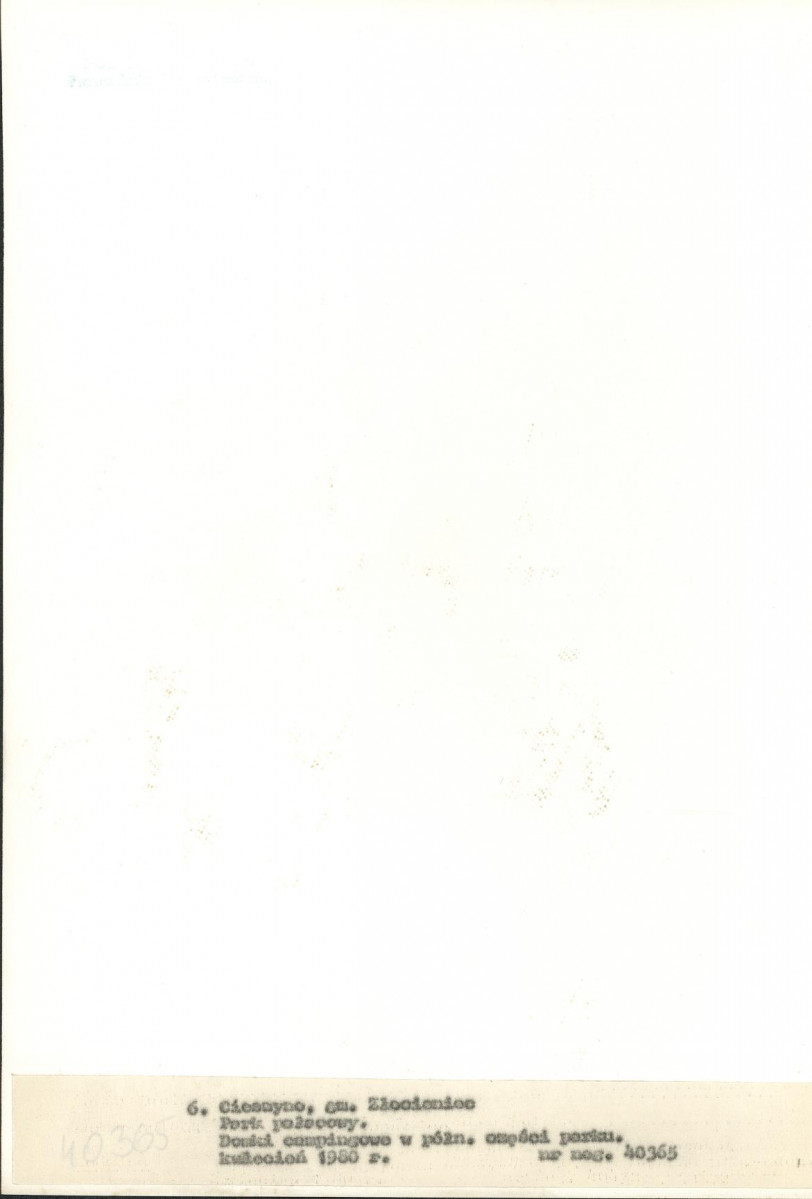 Ewidencja parkowa, skan nr 34