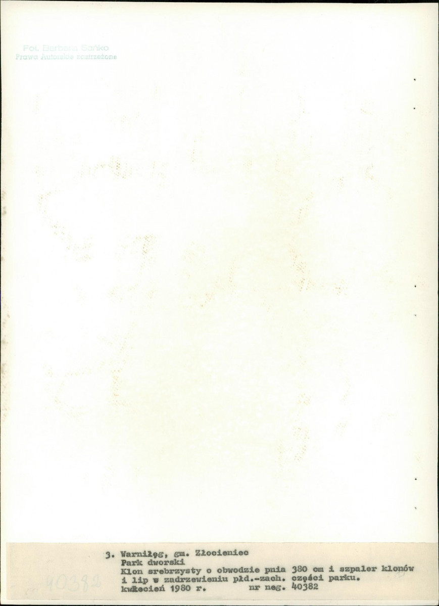 Ewidencja parkowa, skan nr 26