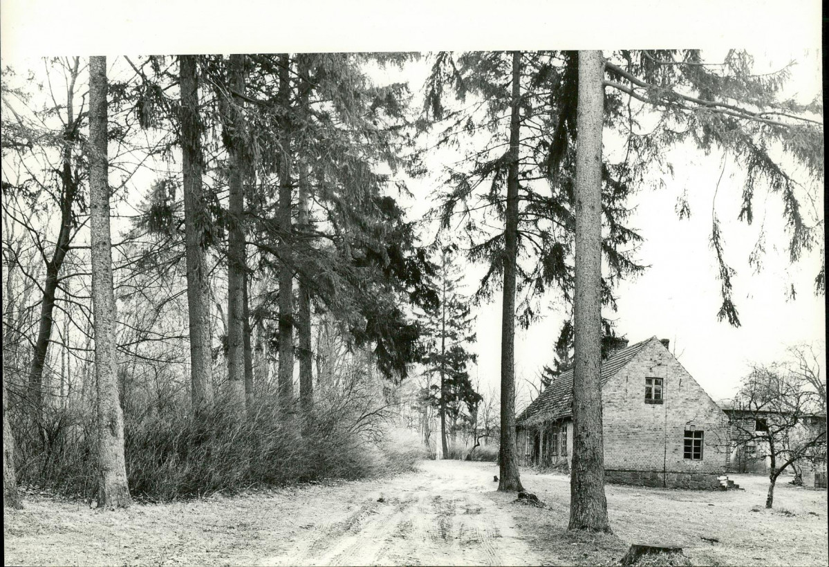 Ewidencja parkowa, skan nr 27