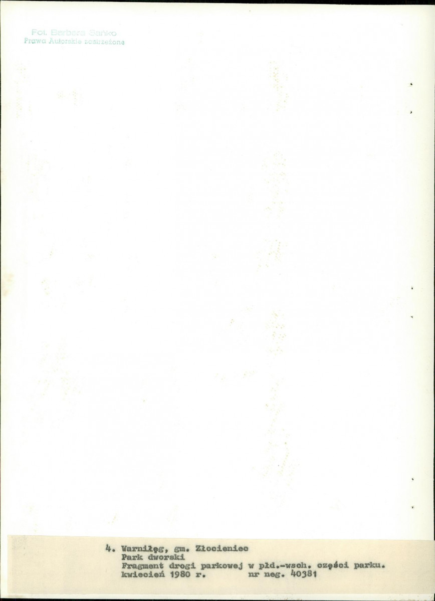 Ewidencja parkowa, skan nr 28