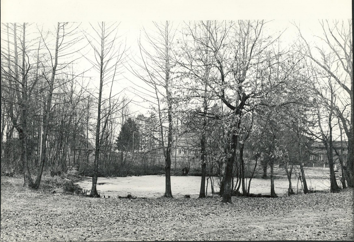 Ewidencja parkowa, skan nr 29