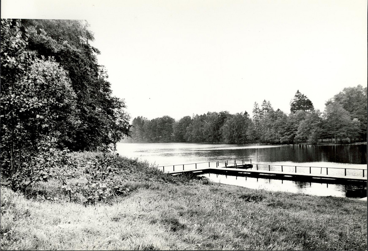 EP - Ewidencja parkowa, skan nr 26