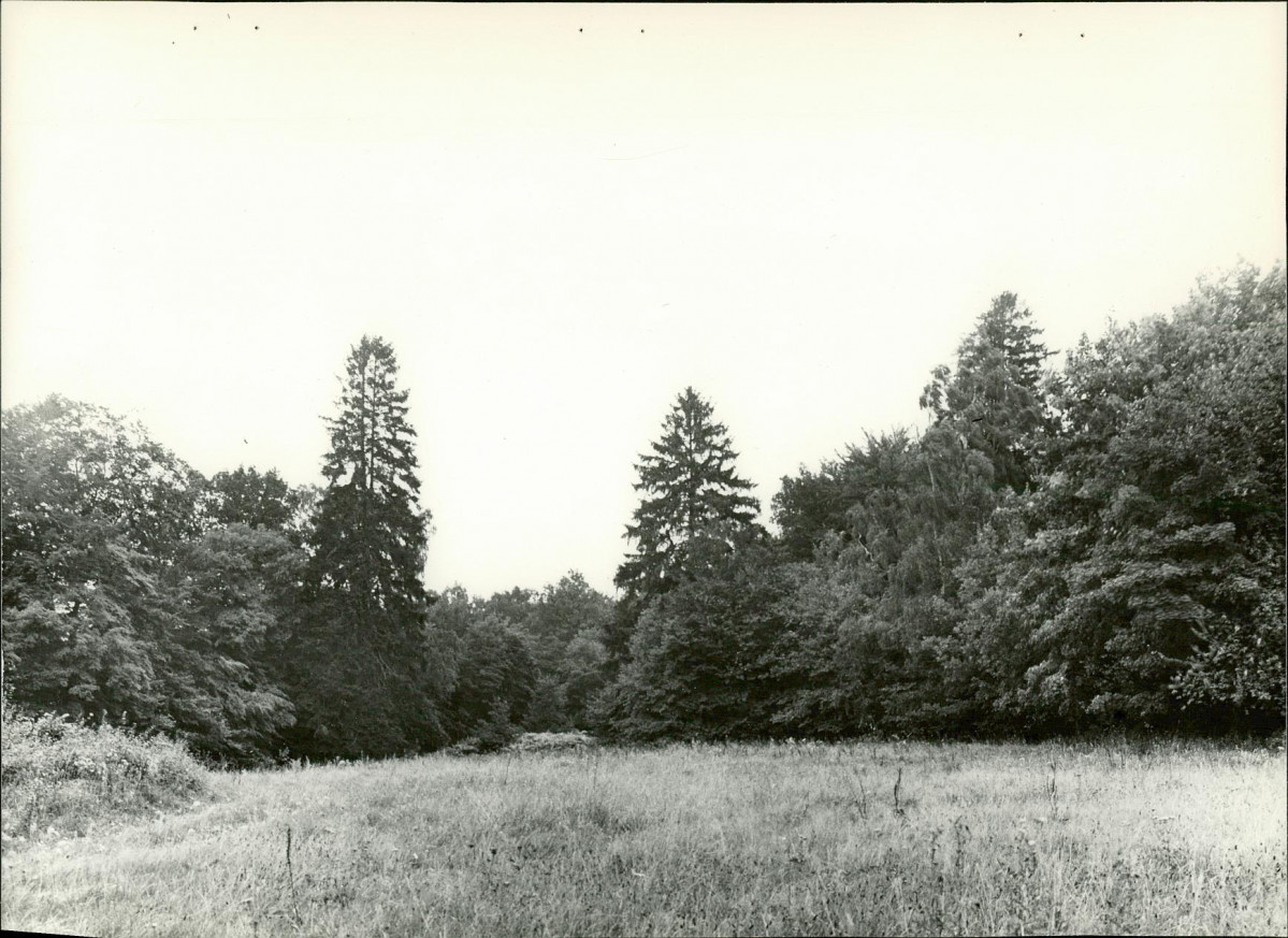 Ewidencja parkowa, skan nr 20