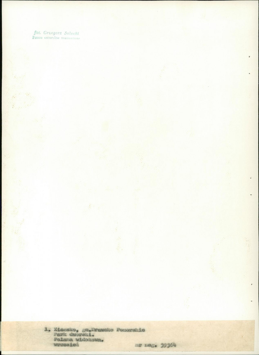 Ewidencja parkowa, skan nr 21