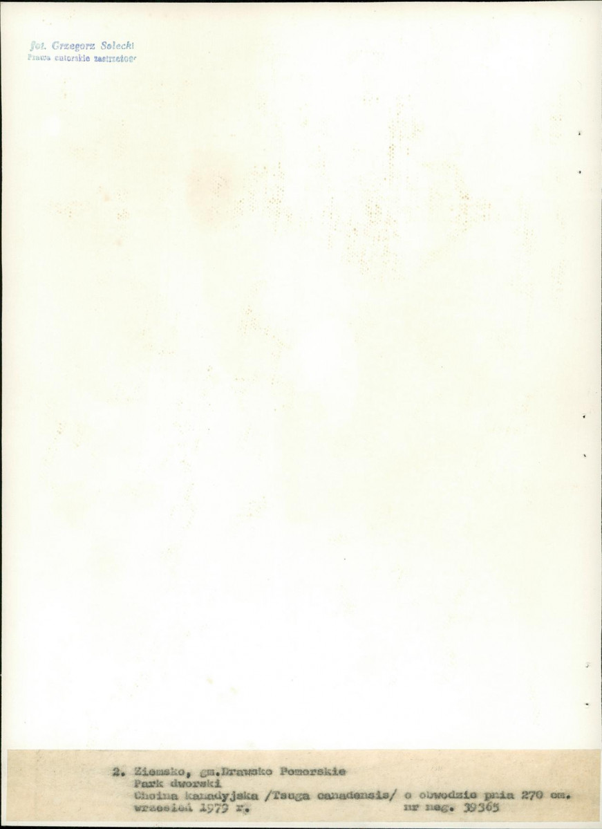 Ewidencja parkowa, skan nr 23