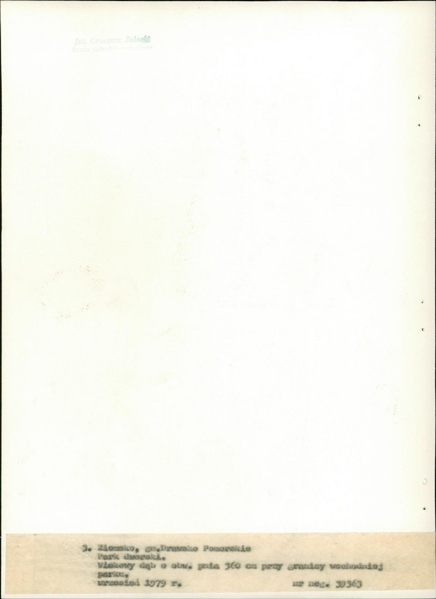 Ewidencja parkowa, skan nr 25