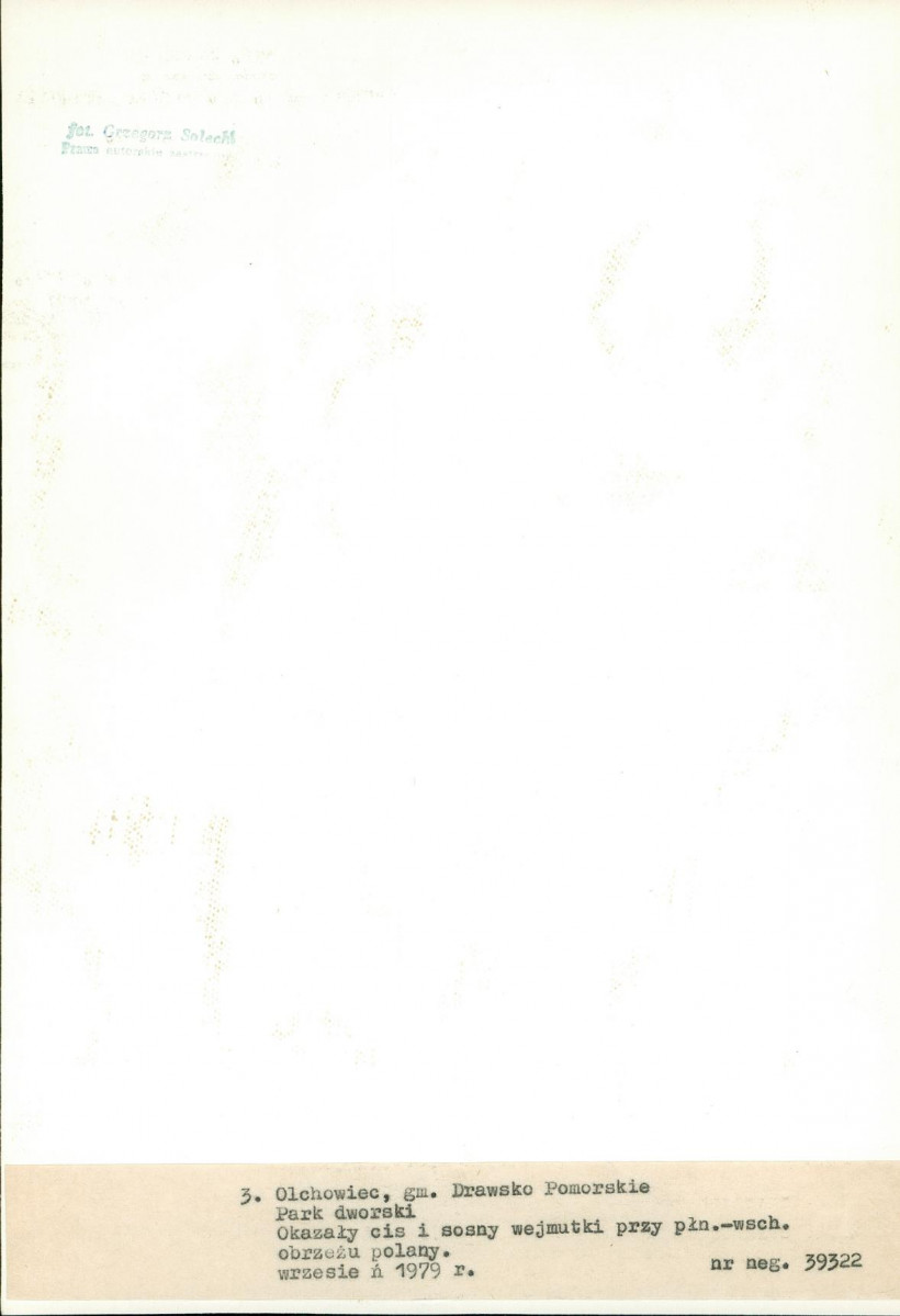 EP - Ewidencja parkowa, skan nr 26