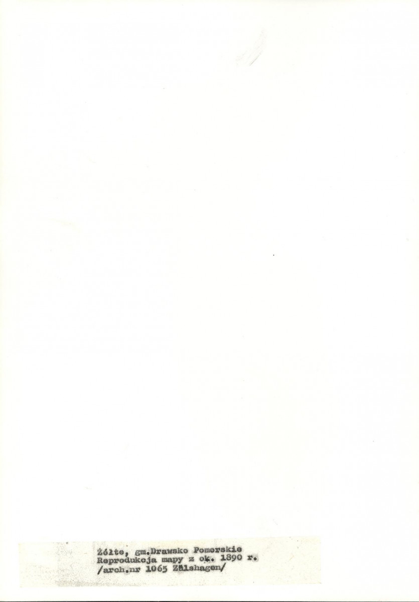 Ewidencja parkowa, skan nr 21