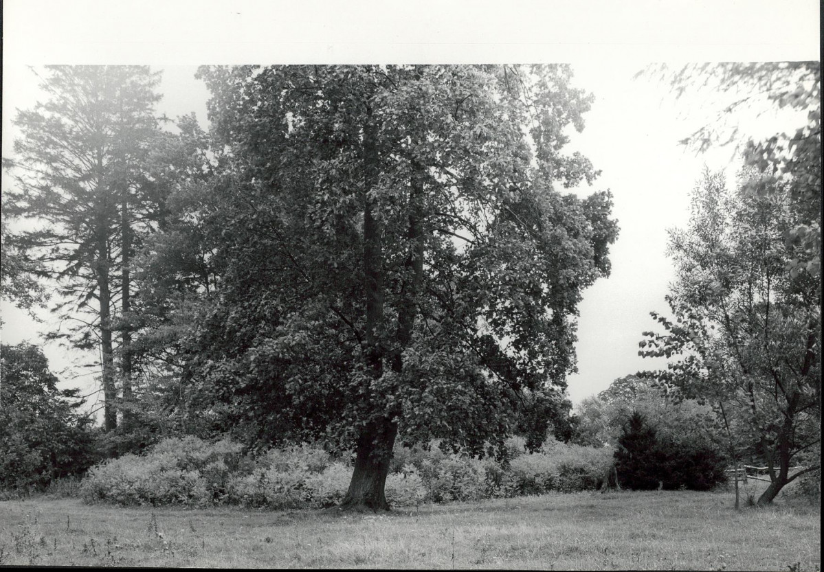 Ewidencja parkowa, skan nr 26