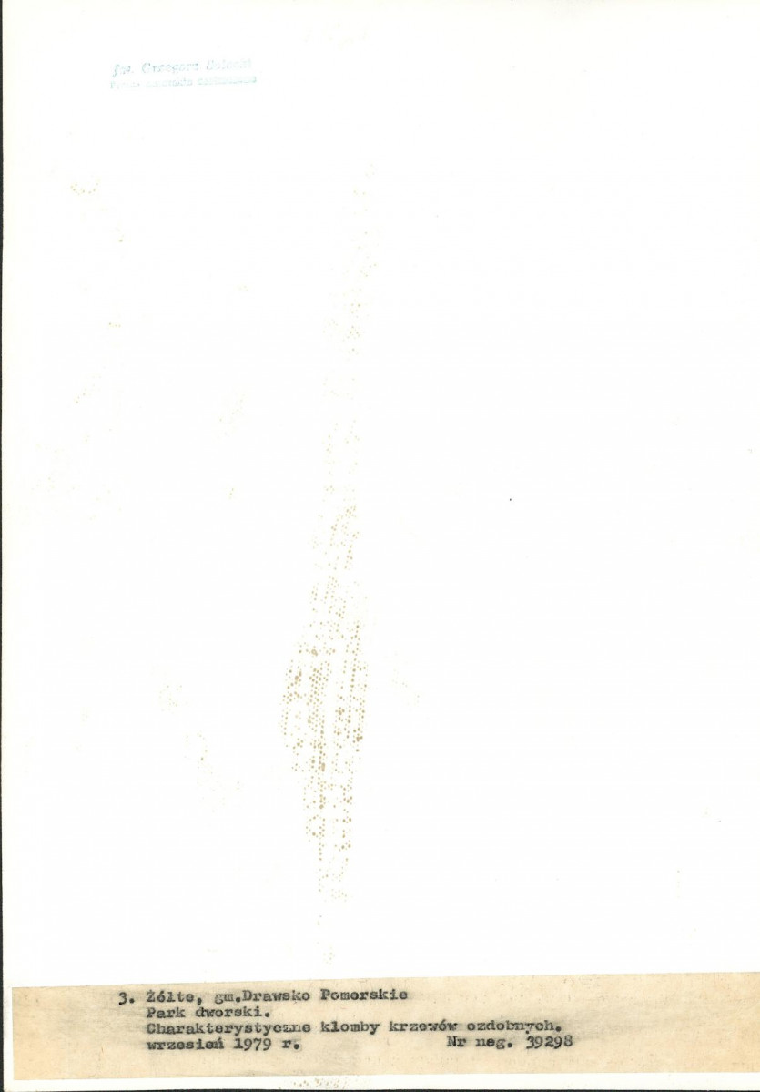 Ewidencja parkowa, skan nr 27