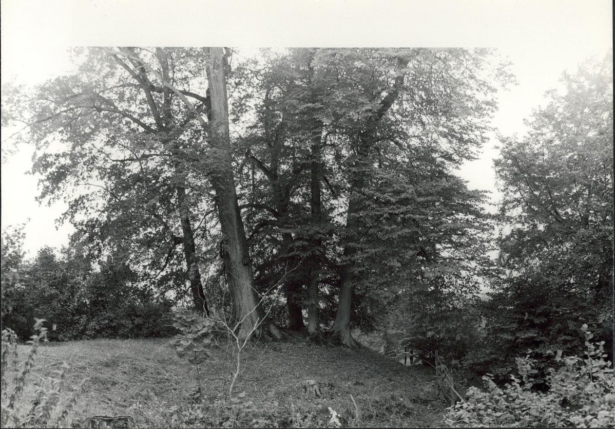 Ewidencja parkowa, skan nr 28