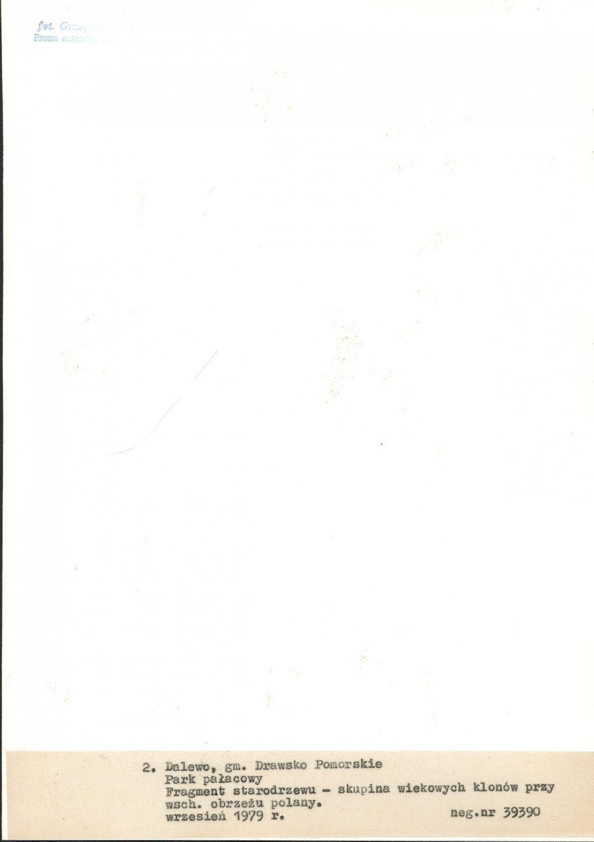 Ewidencja parkowa, skan nr 24