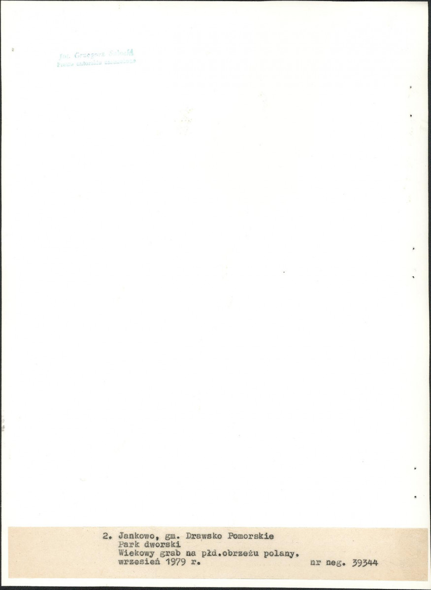 EP - Ewidencja parkowa, skan nr 26