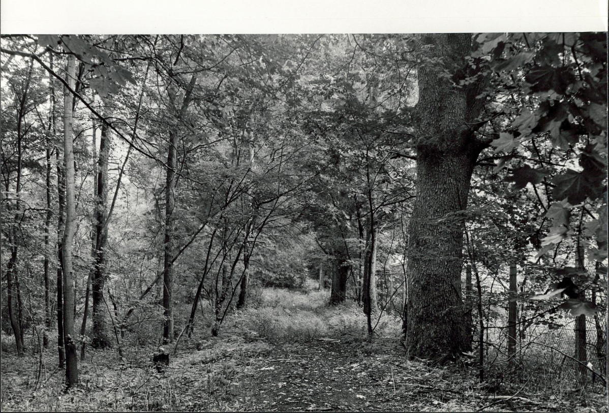 EP - Ewidencja parkowa, skan nr 27