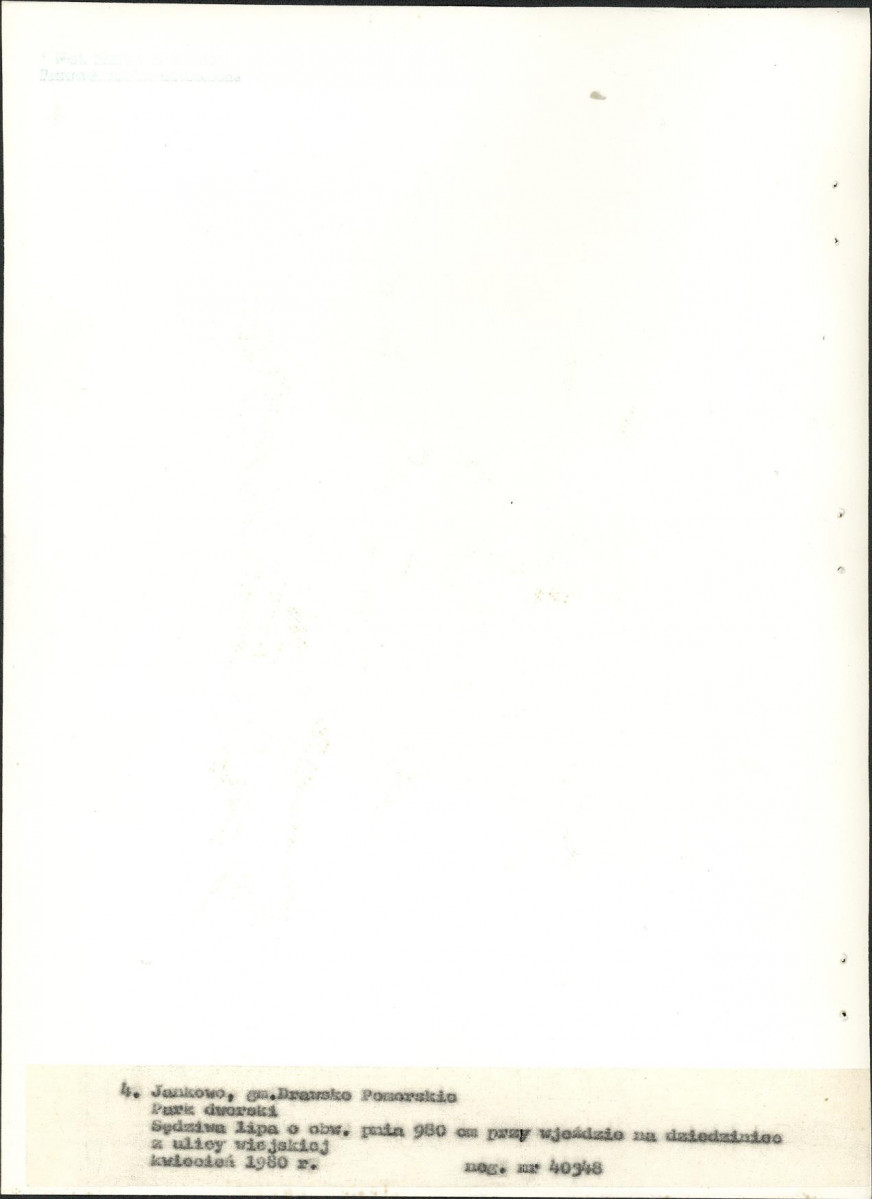 EP - Ewidencja parkowa, skan nr 30