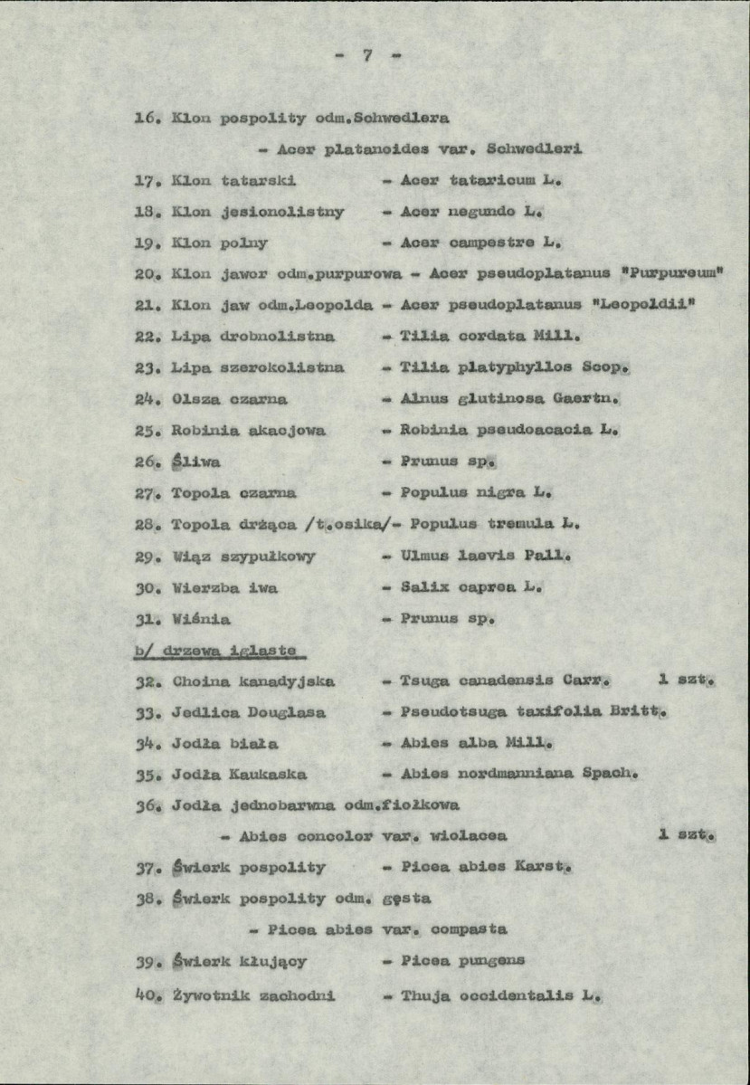 Ewidencja parkowa, skan nr 13