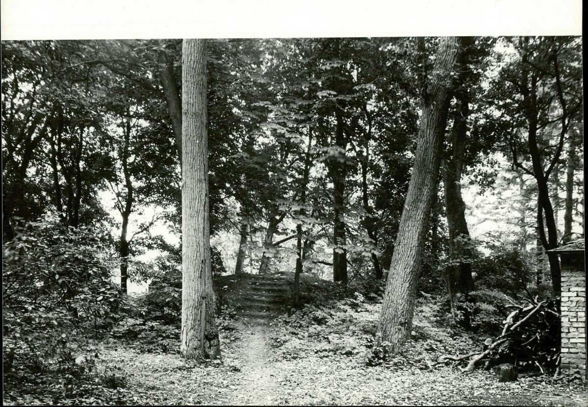 Ewidencja parkowa, skan nr 29